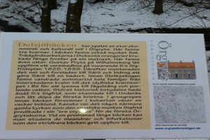 Promenad – 16 – Delsjöbäcken