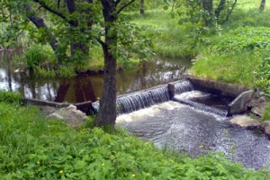 Promenad – 16 – Delsjöbäcken