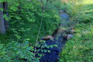Promenad – 16 – Delsjöbäcken