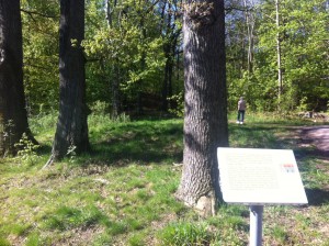 Promenad – 19 – Mühlenbocks park